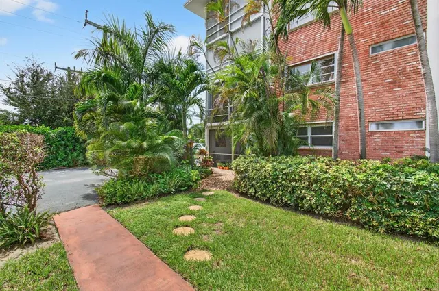 a view of a yard with plants
