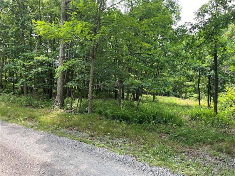 0 Fletcher/sebring Road Beaver, PA 15009 - Photo 10 of 24 a view of a forest