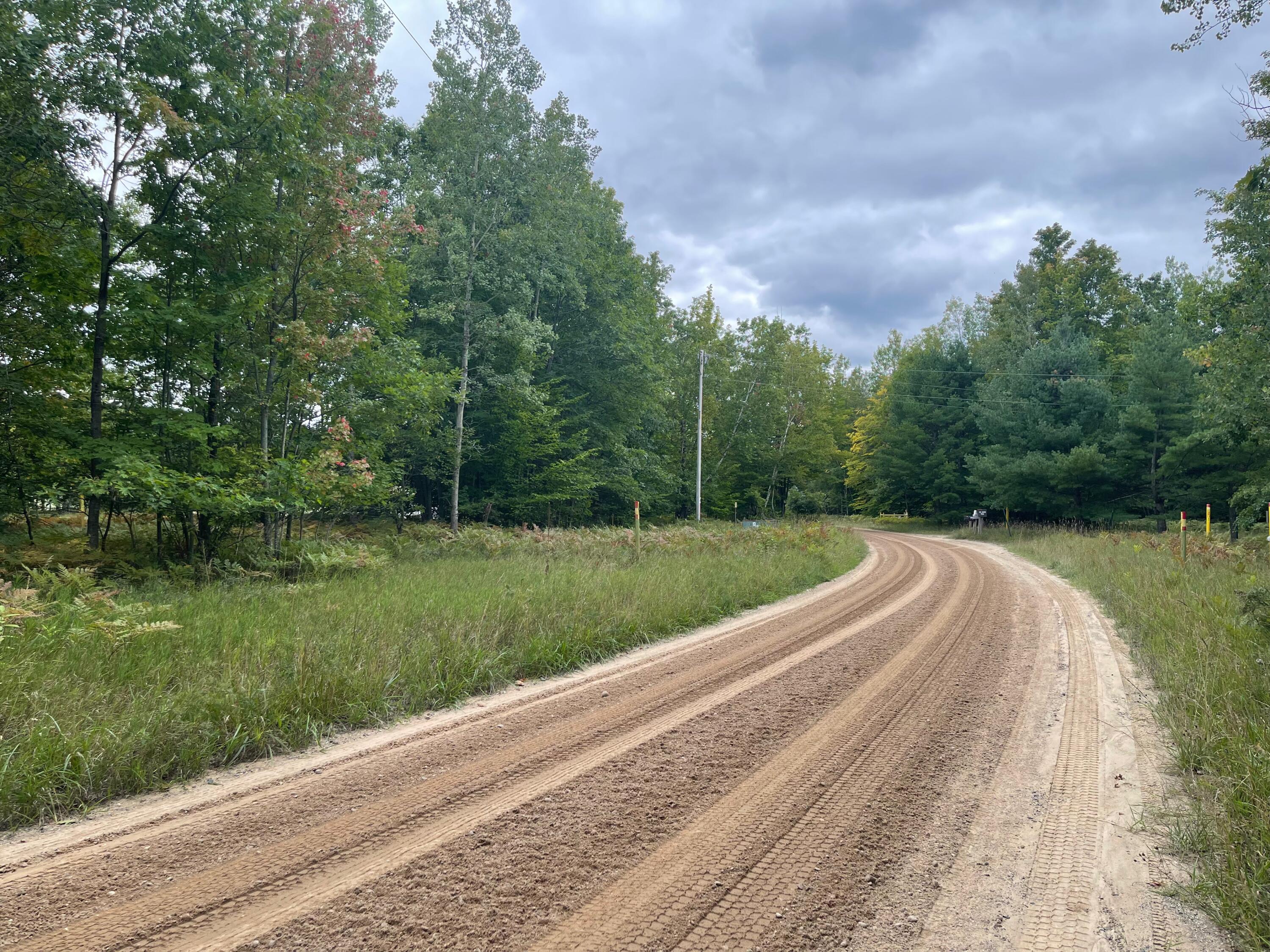 Amoco Road Gaylord, MI 49735 - Photo 5 of 16 Gallery Image 5