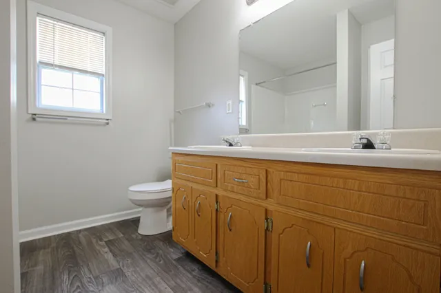 a bathroom with a sink and a toilet