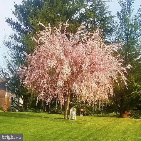 $610,000 | 1 Bohemia Road, Bear, DE 19701