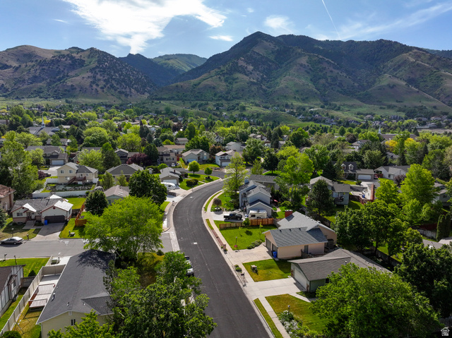 1218 East 100 South Logan, UT 84321 - Photo 4 of 23 Residential neighborhood featuring a paved street and mature trees
