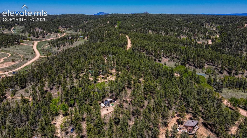 2927 Pathfinder Road Florissant, CO 80816 - Photo 37 of 37