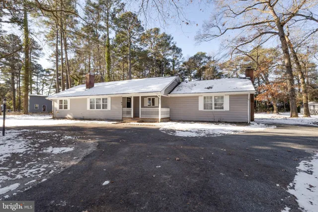 a view of a yard in front of a house with a large tree