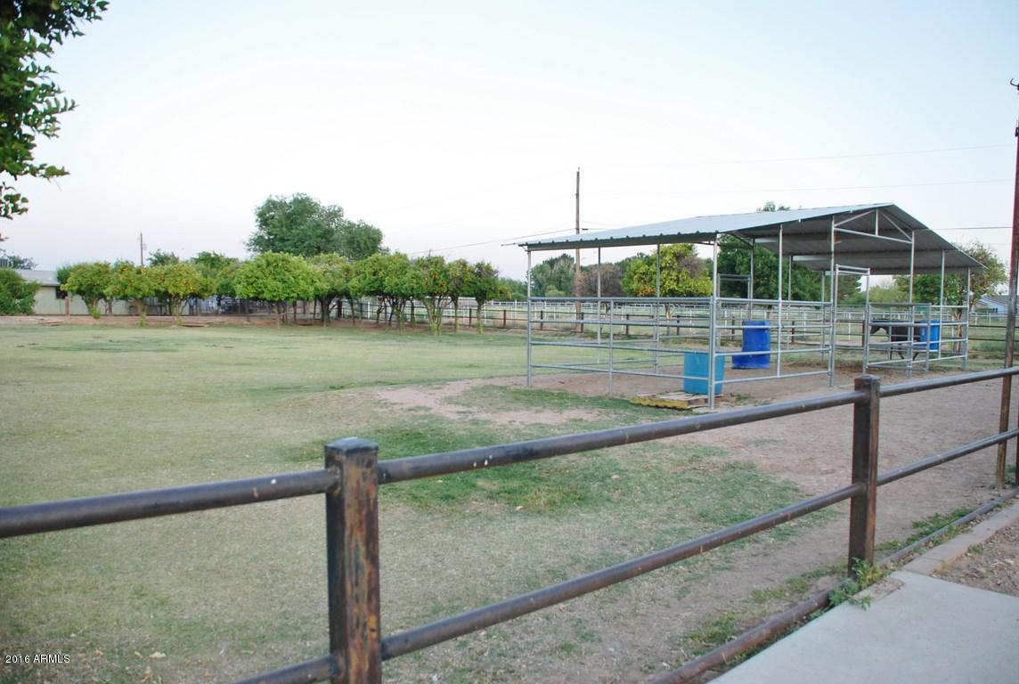 14245 East Appleby Road Chandler, AZ 85286 - Photo 10 of 50 DSC_0767