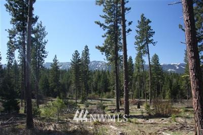 2 Summit View Road Cle Elum, WA 98922 - Photo 3 of 8 Gallery Image 3
