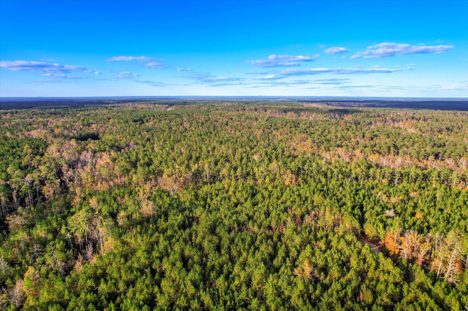 Tbd2 Tbd2 Sc-23 Edgefield, SC 29824 - Photo 36 of 41 35-135