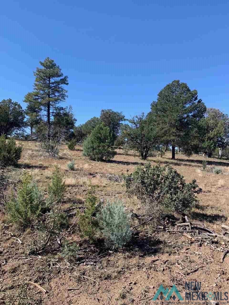 26 Hampton Road Aragon, NM 87820 - Photo 1 of 1