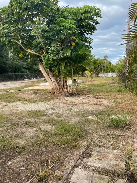 156 County Road Big Pine Key, FL 33043 - Photo 14 of 15 a view of a yard with an outdoor space