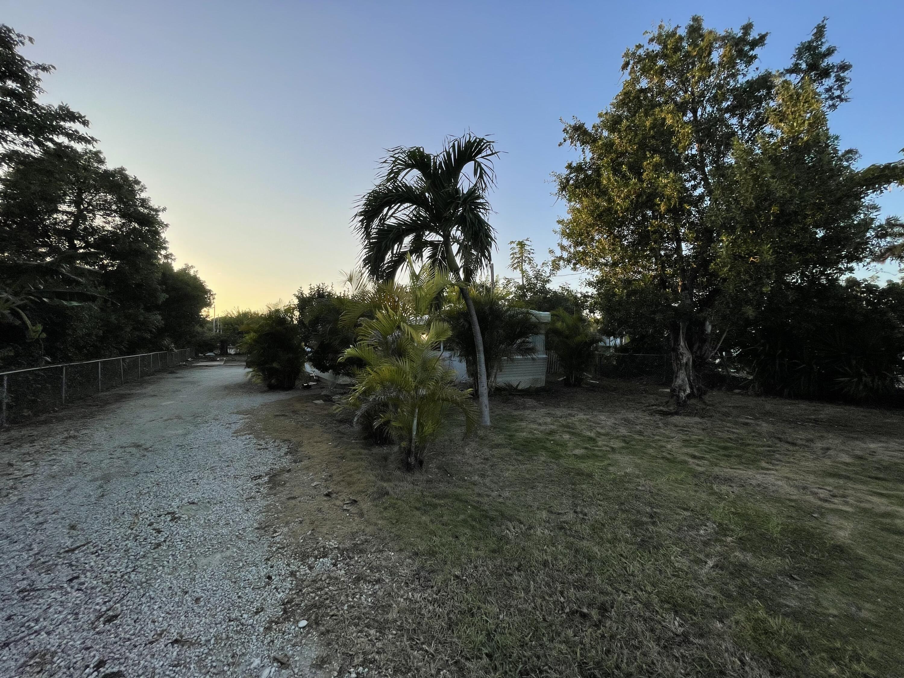 156 County Road Big Pine Key, FL 33043 - Photo 4 of 15 a view of a yard with a tree