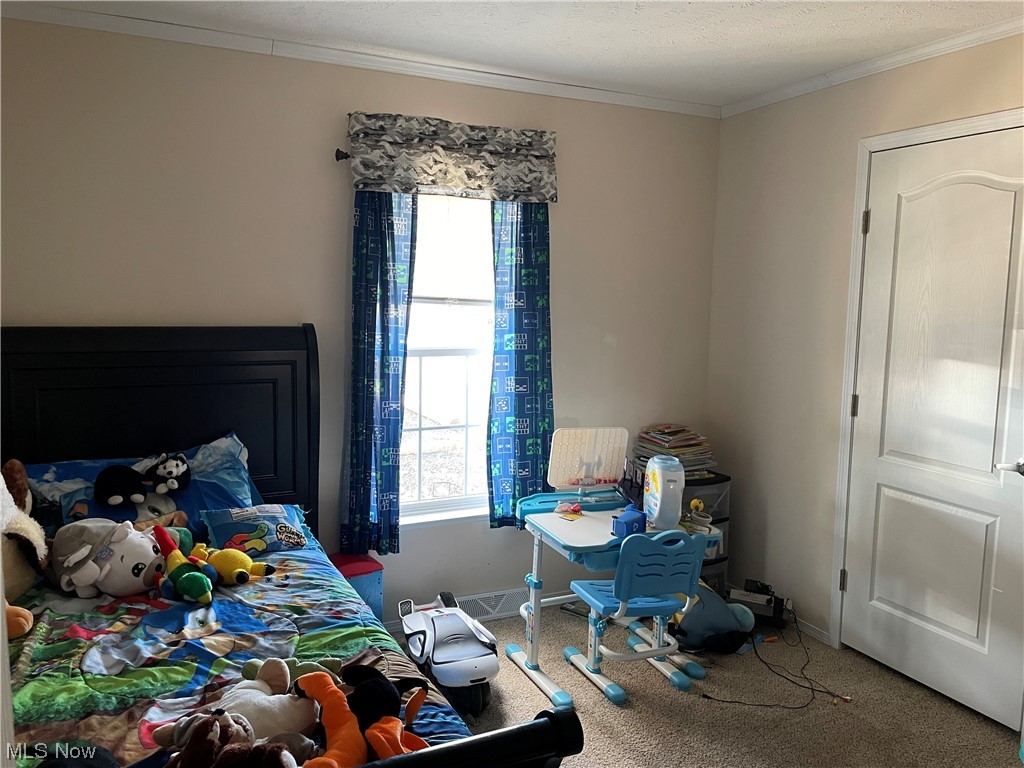 8580 Cox Road Windsor, OH 44099 - Photo 16 of 29