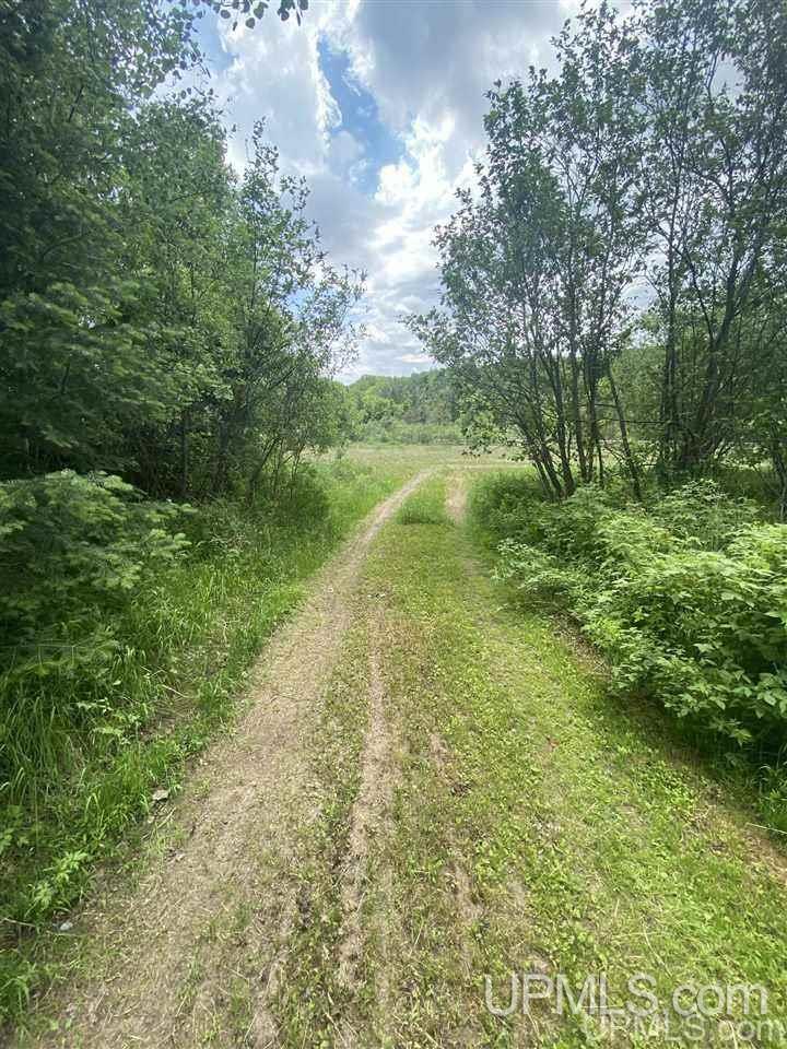 16 Rd Iron River Iron River, MI 49935 - Photo 14 of 18