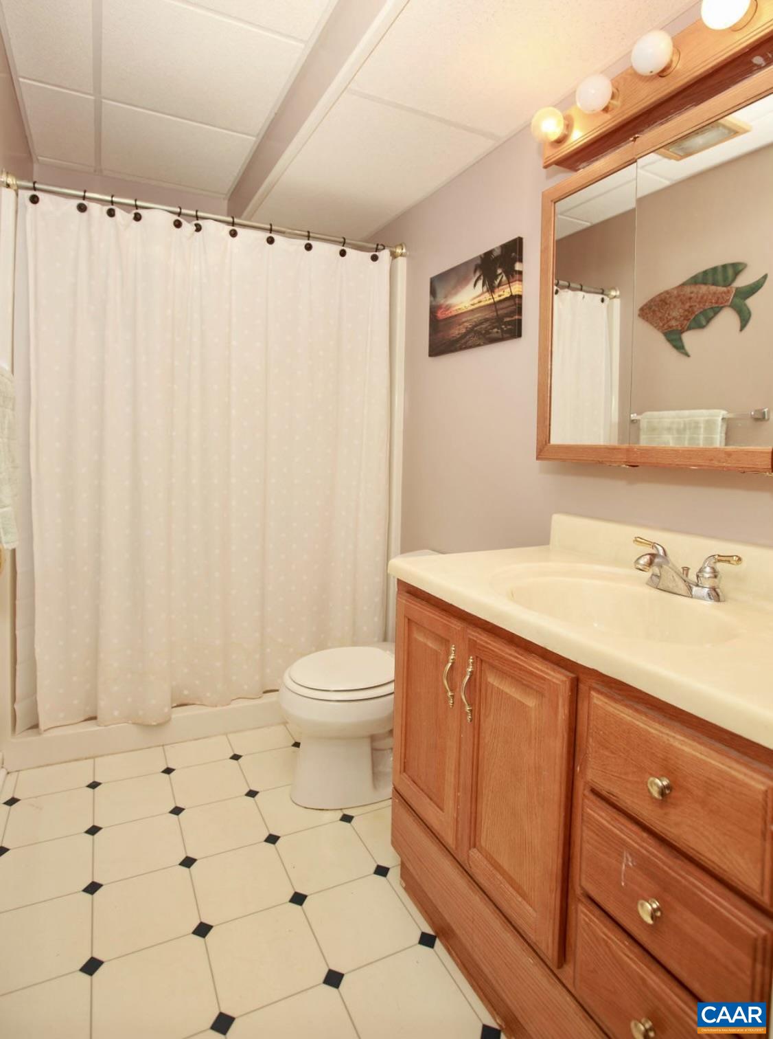 166 Oak View Road Barboursville, VA 22923 - Photo 35 of 46 a bathroom with a sink a toilet and shower
