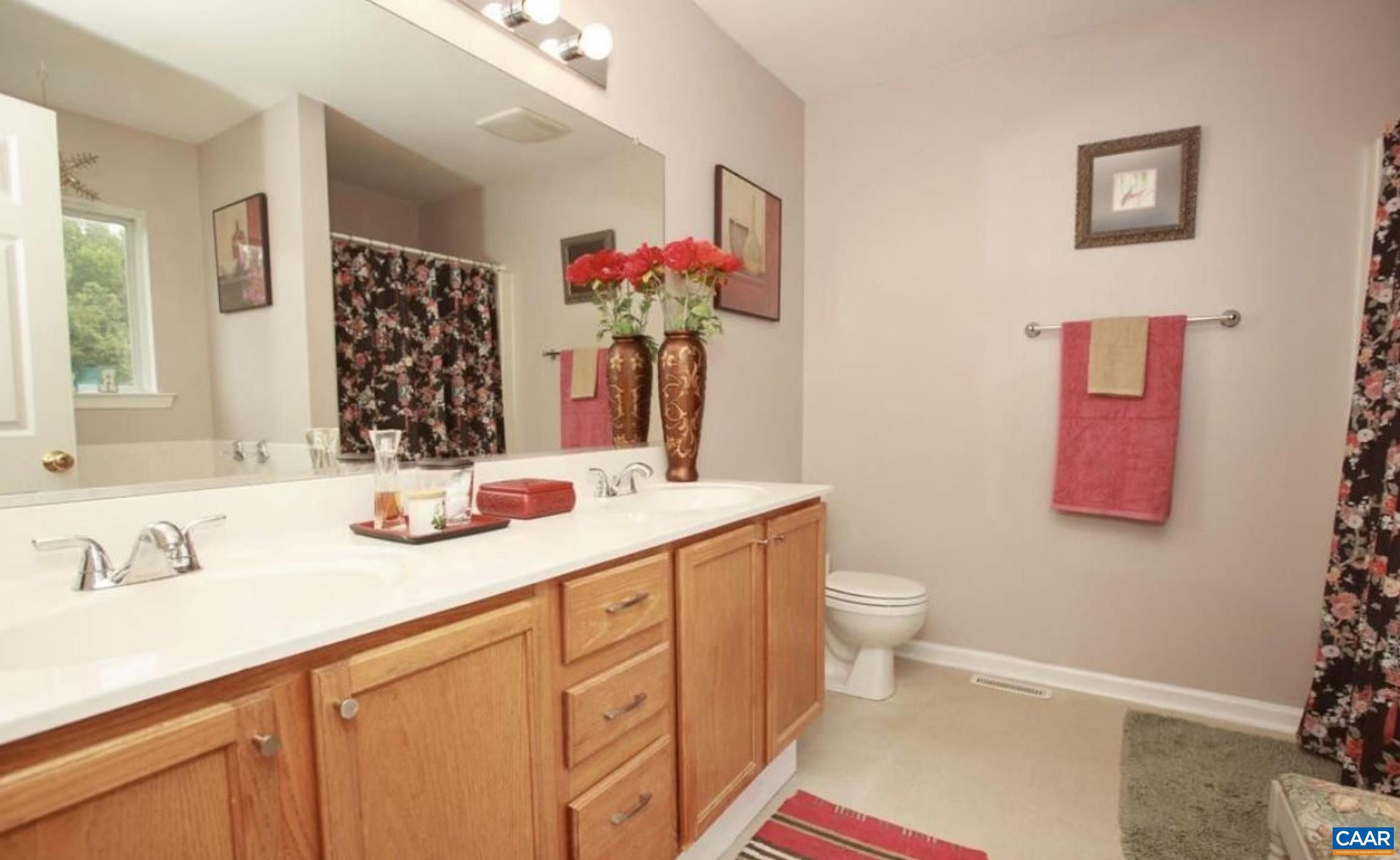 166 Oak View Road Barboursville, VA 22923 - Photo 6 of 46 a bathroom with a sink vanity mirror and toilet