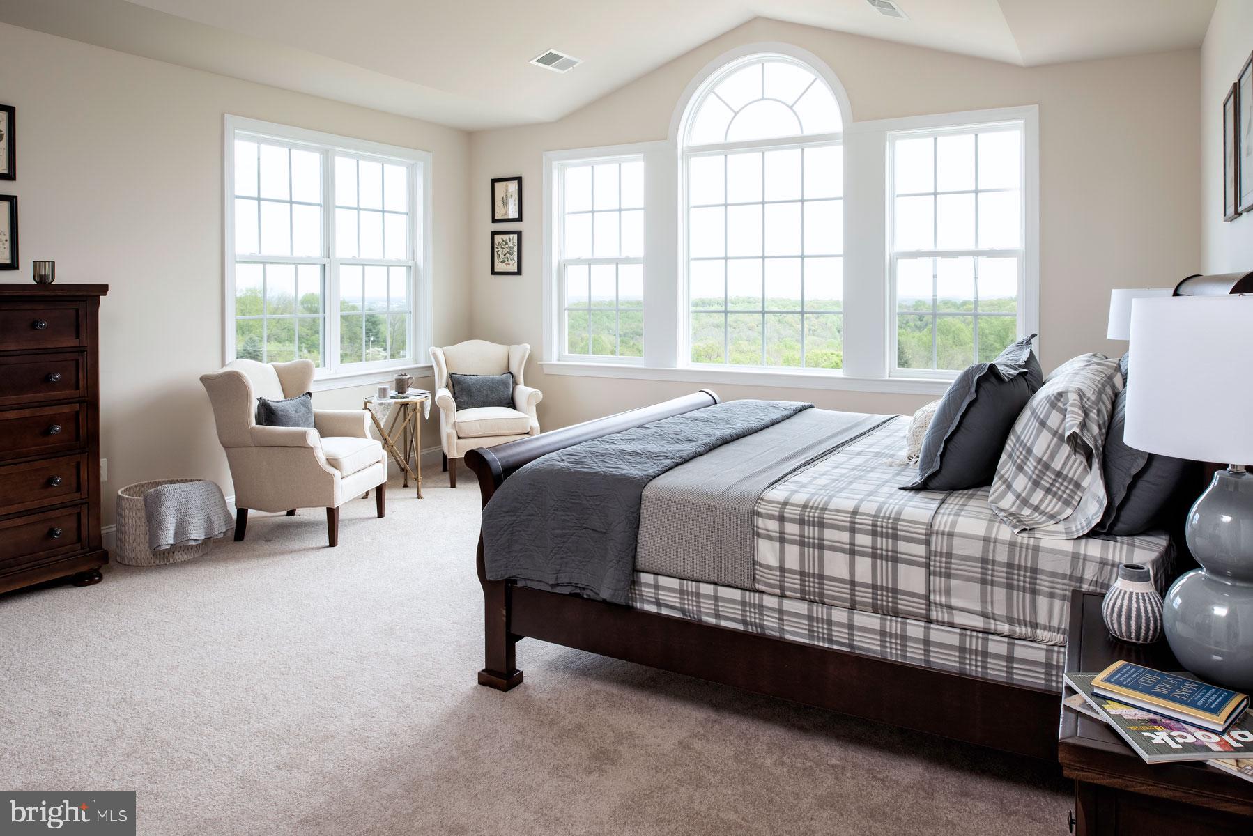 39995 Thomas Mill Road Leesburg, VA 20175 - Photo 17 of 18 Owner's suite with cathedral ceiling