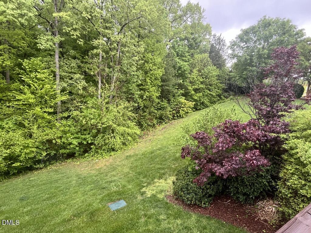 102 Grey Elm Trail Durham, NC 27713 - Photo 34 of 38 a view of a garden with plants and large trees
