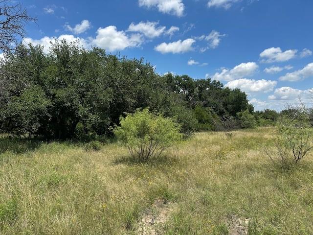 -tract 19 165 County Road Blanket, TX 76474 - Photo 3 of 11 Gallery Image 3