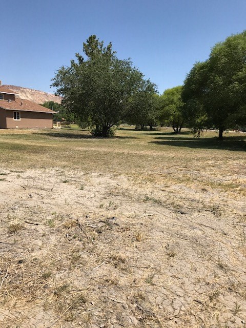 3453 1/2 G Road Clifton, CO 81520 - Photo 20 of 21 a view of outdoor space with swimming pool and trees
