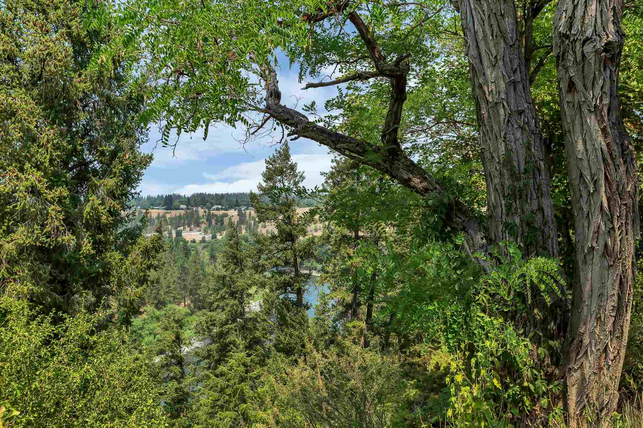 1619 North W Point Road Spokane, WA 99201 - Photo 44 of 47 Gallery Image 44