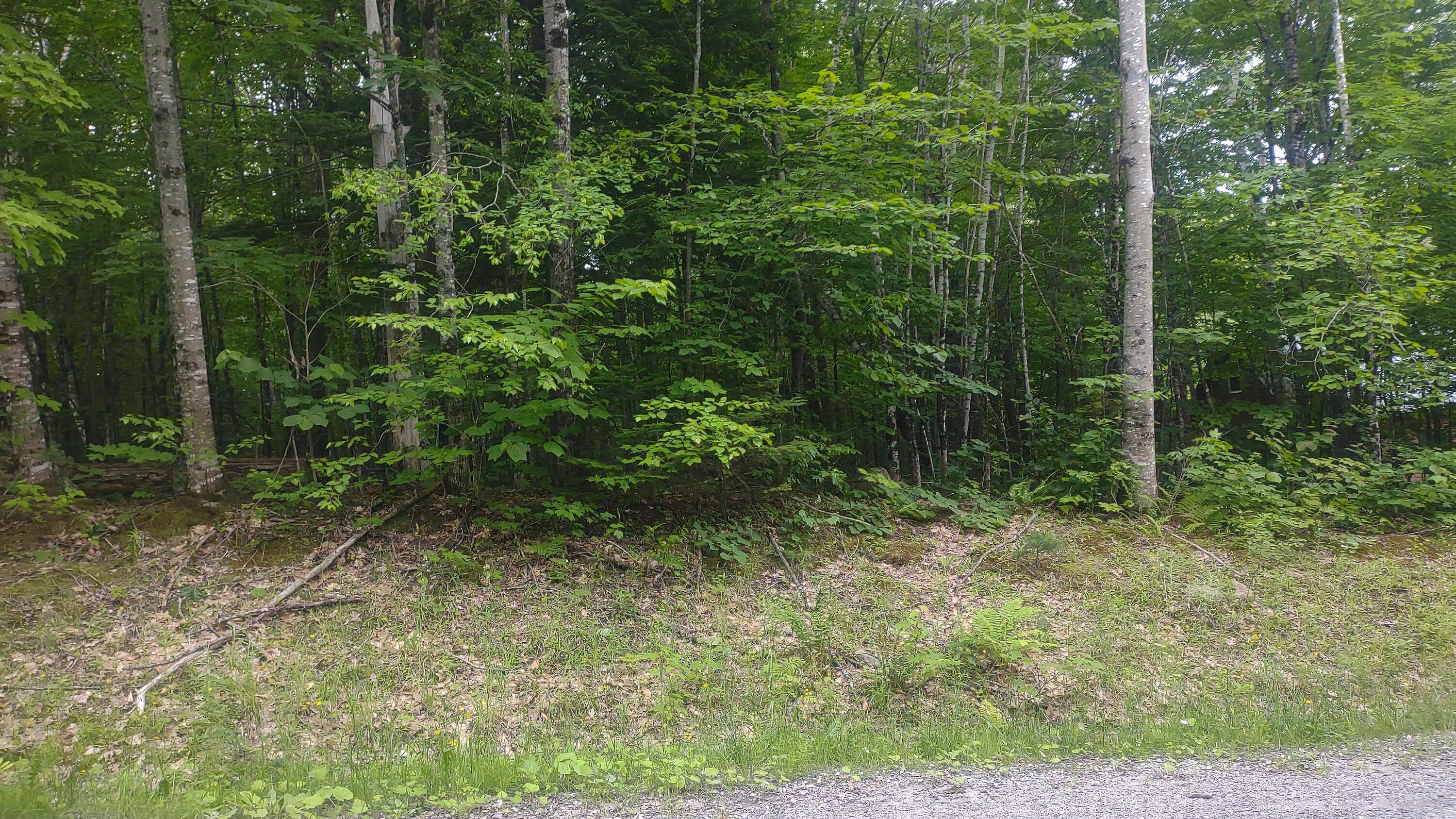 Tbd Stream Road Vienna, ME 04360 - Photo 3 of 7 1000006963