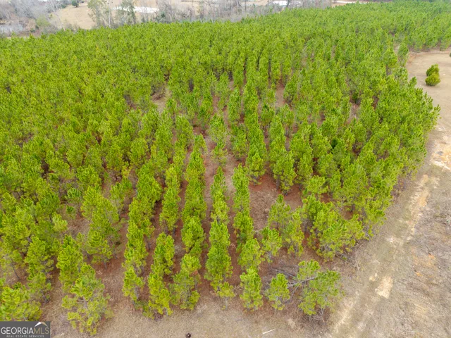 $649,999 | 5321 Irma Lee Lane, Tarrytown, GA 30470