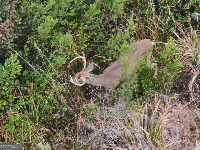 $649,999 | 5321 Irma Lee Lane, Tarrytown, GA 30470