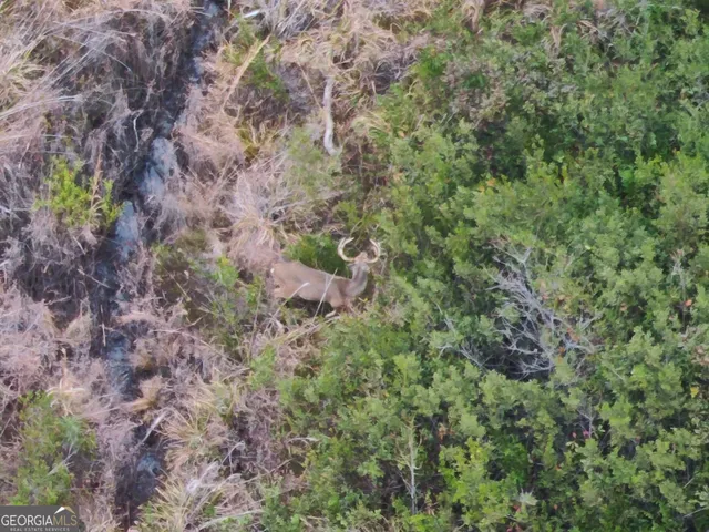 $649,999 | 5321 Irma Lee Lane, Tarrytown, GA 30470