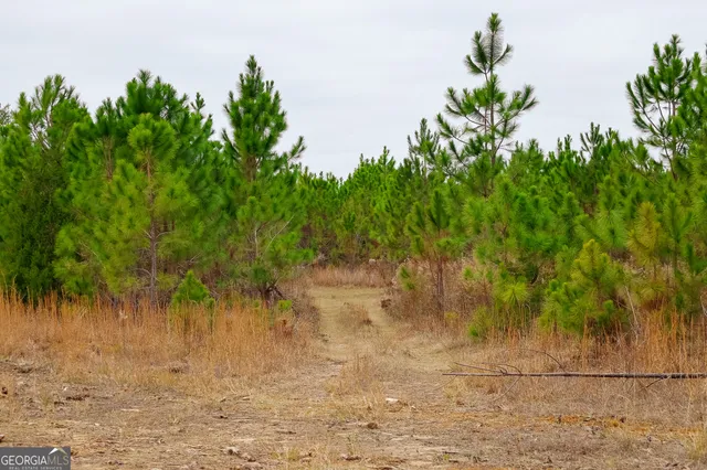 $649,999 | 5321 Irma Lee Lane, Tarrytown, GA 30470