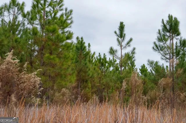 $649,999 | 5321 Irma Lee Lane, Tarrytown, GA 30470