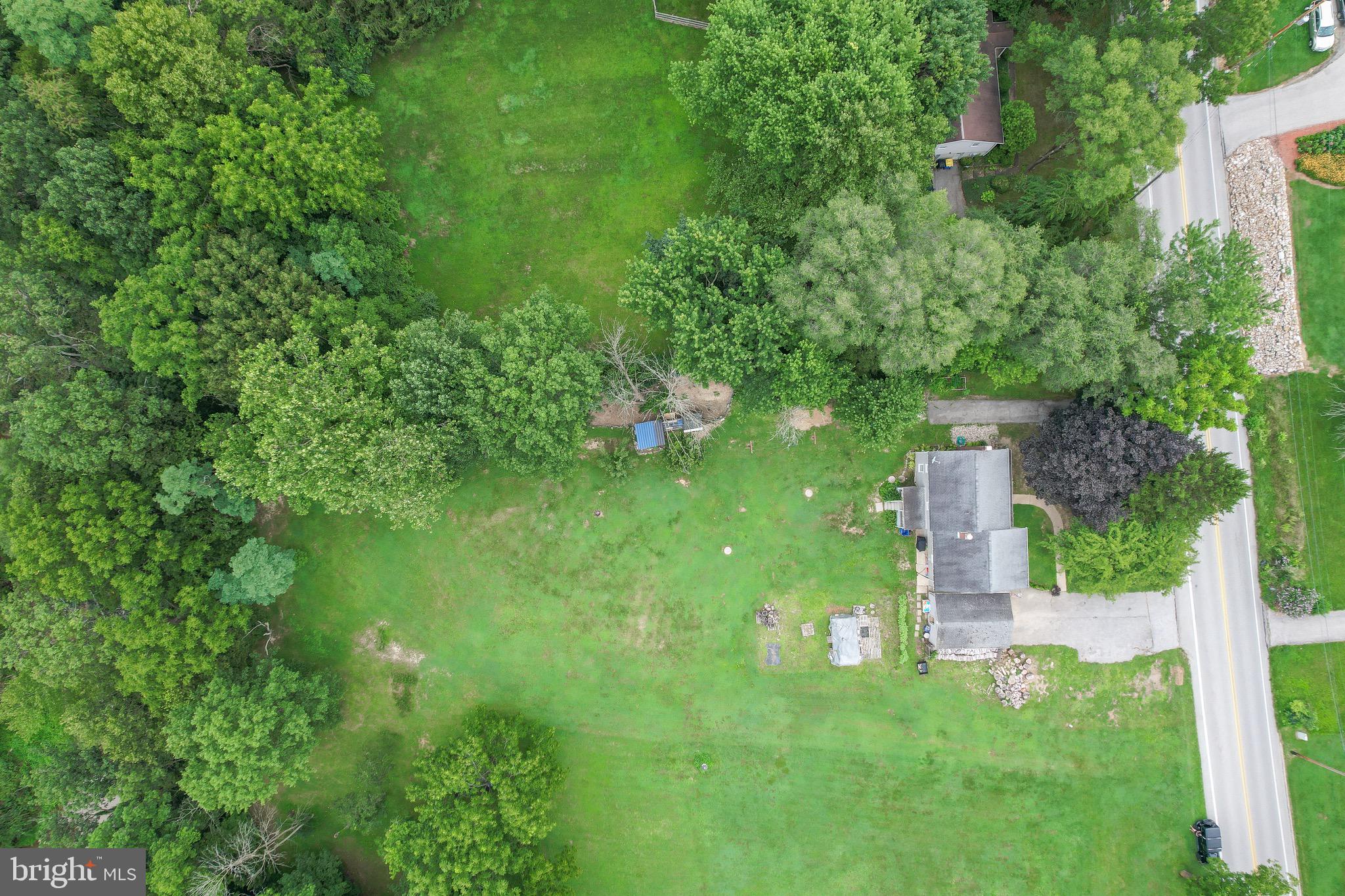 410 Days Mill Road York, PA 17403 - Photo 12 of 38 a green yard with large trees