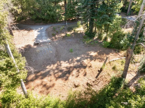 a view of a tree with a yard