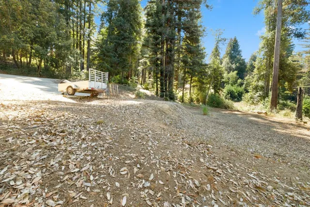 a view of a tree with a yard