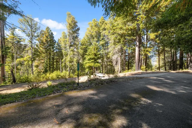 a view of road and trees