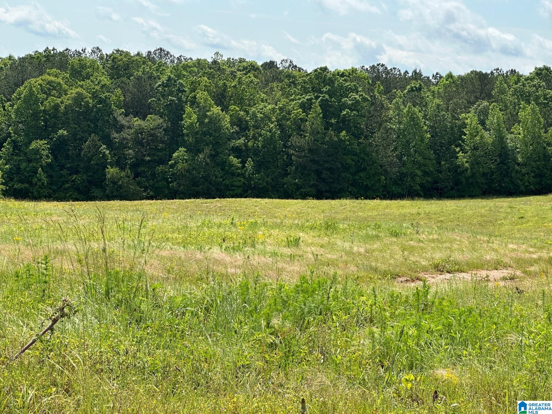 Oaks Chapel Road, Unit 76 Goodwater, AL 35072 - Photo 19 of 25