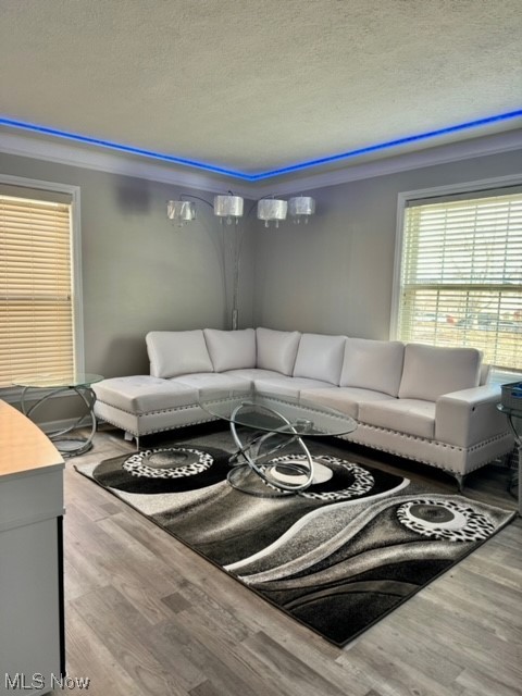 1508 Winchester Road Lyndhurst, OH 44124 - Photo 5 of 23 Living room with light hardwood / wood-style flooring, ornamental molding, and a textured ceiling