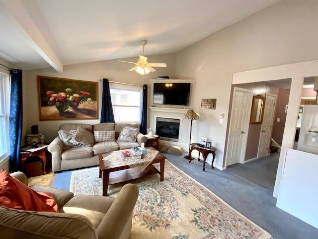 425 3rd West Cape May, NJ 08204 - Photo 4 of 16