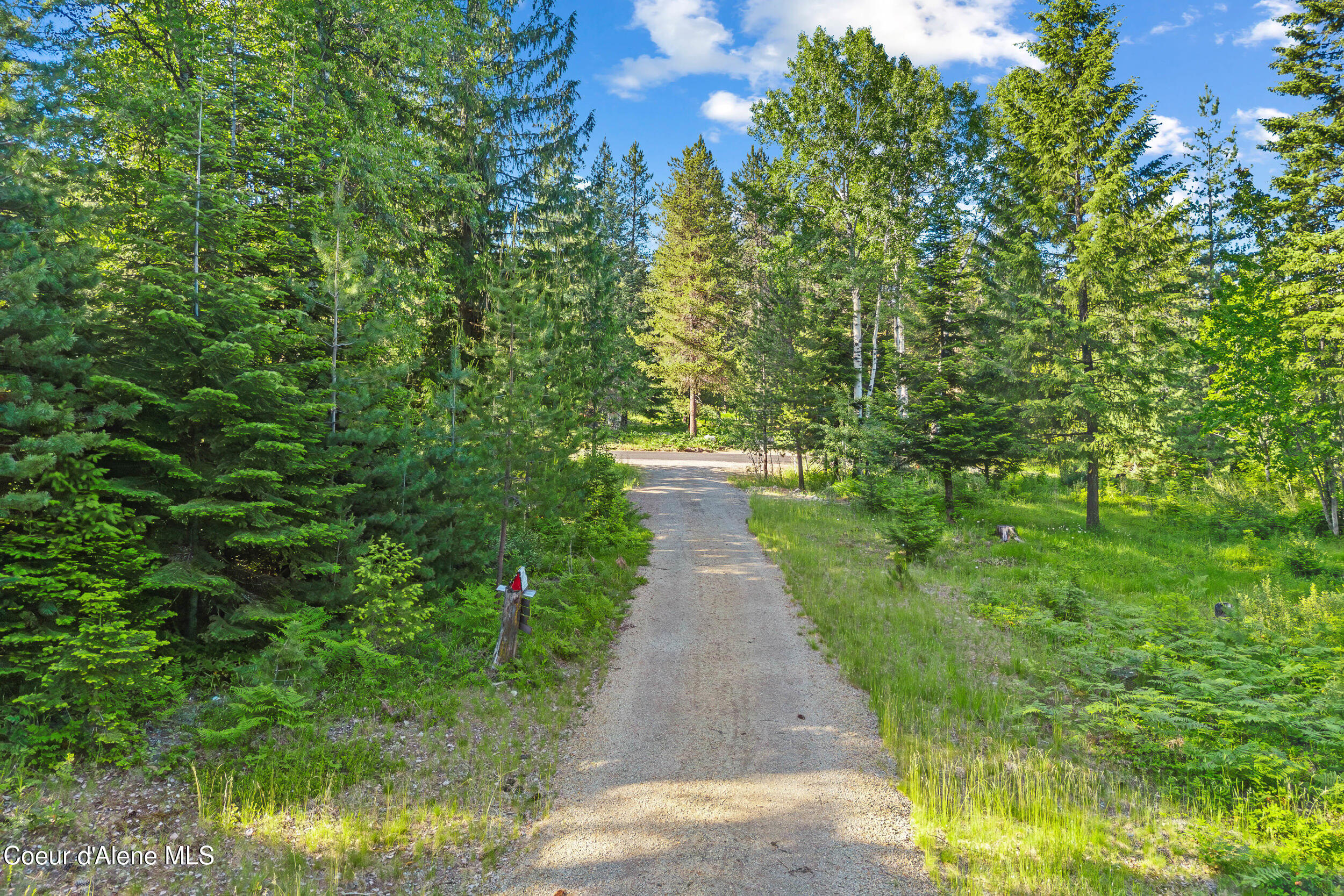 Lot 11 Cougar Run Road Priest Lake, ID 83856 - Photo 5 of 12 09-cougar run rd-parcel