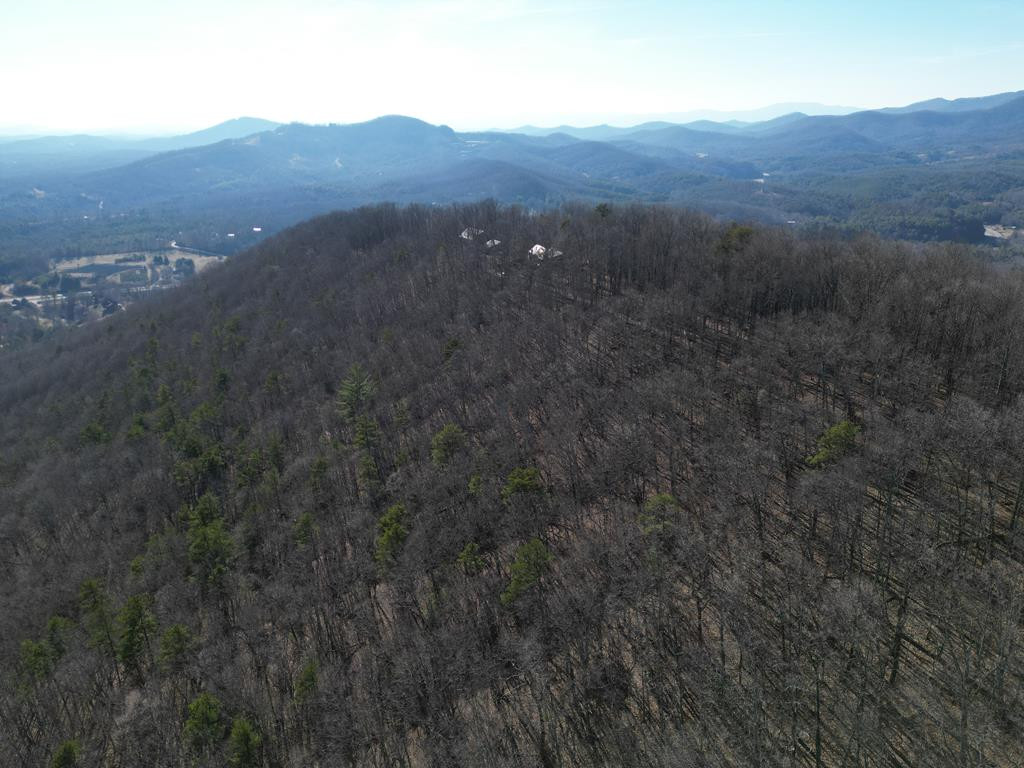 20.05-ac Treehouse Trail Murphy, NC 28906 - Photo 12 of 14