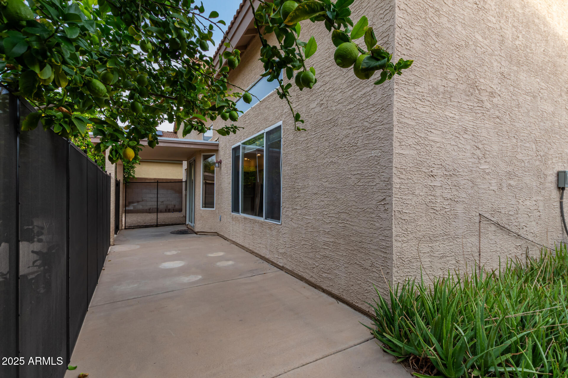 4522 East Rowel Road Phoenix, AZ 85050 - Photo 41 of 49 a view of a house with a tree