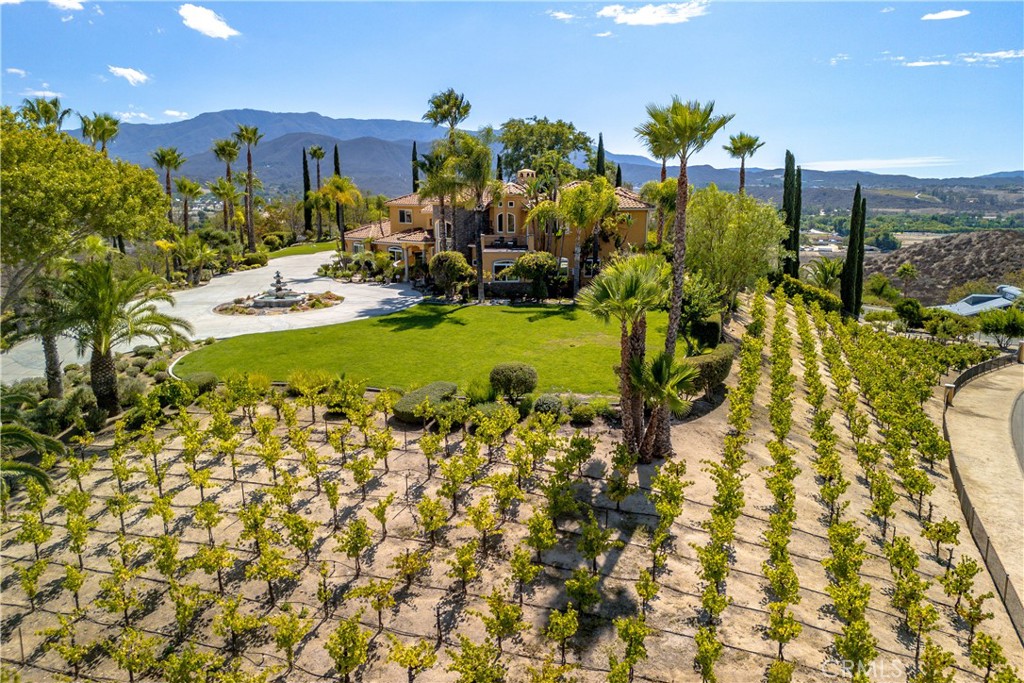 35445 Linda Rosea Road Temecula, CA 92592 - Photo 18 of 21 a view of a swimming pool with a lawn chairs and potted plants