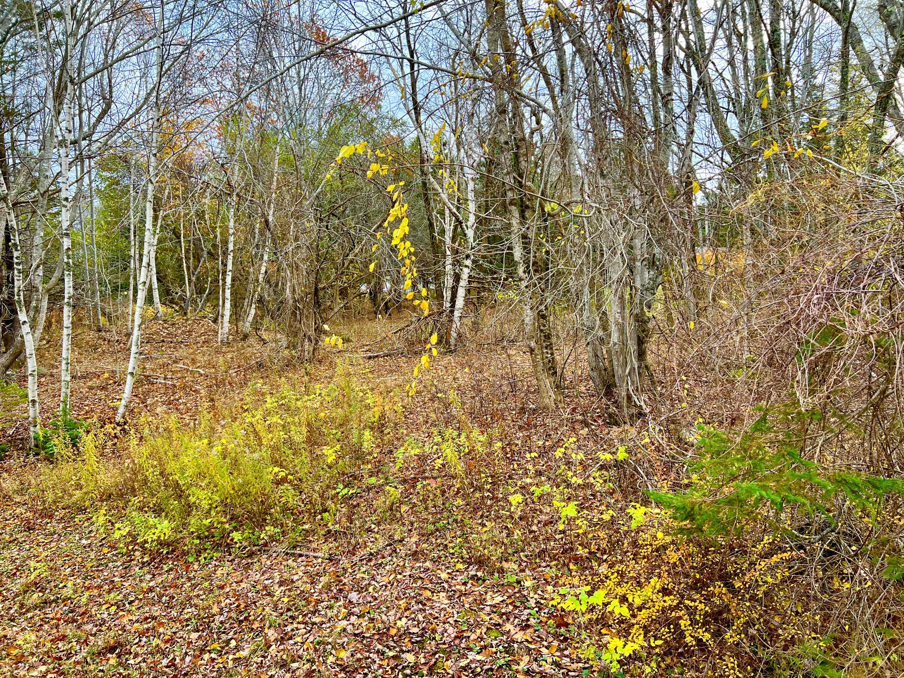 38 Indian Point Road Bar Harbor, ME 04609 - Photo 60 of 63