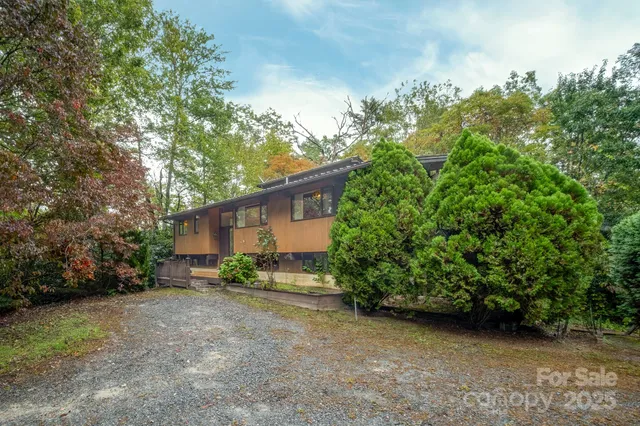 a view of a lush green yard with large trees