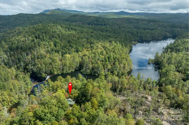 a view of a garden with a tree