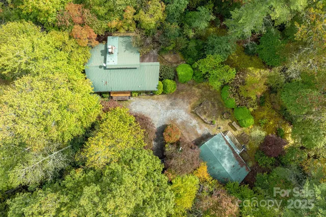 a view of a lush green forest