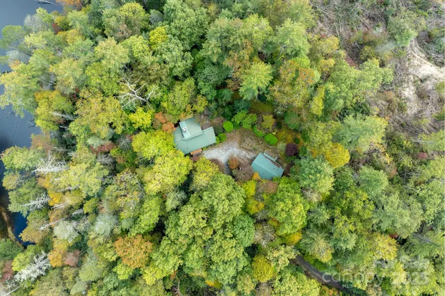 a view of a small yard