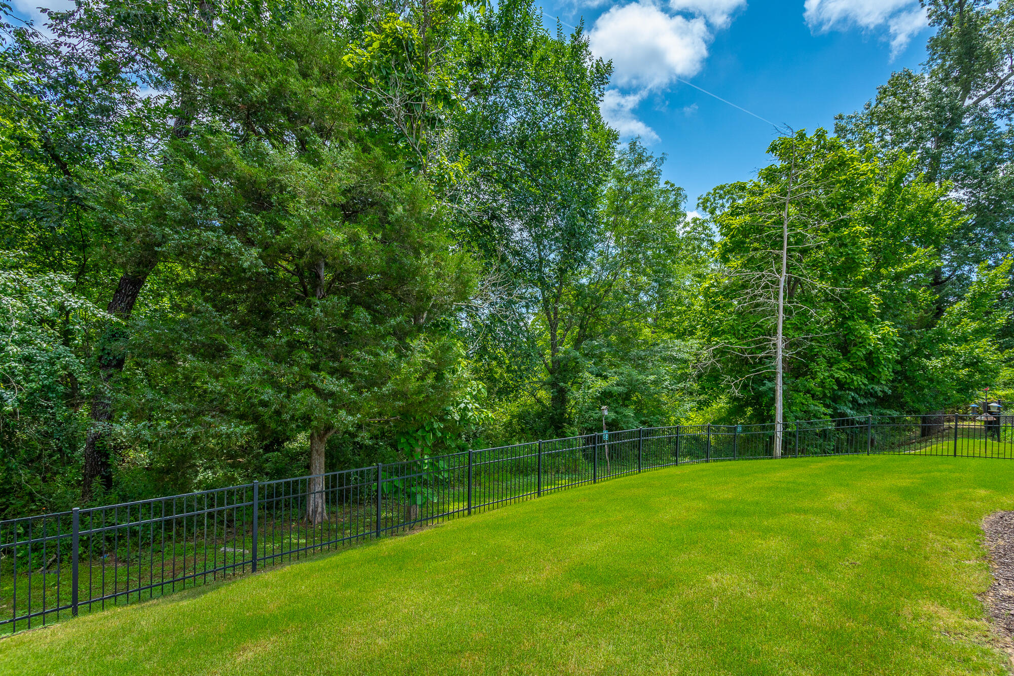 1069 Little Sorrel Road Hixson, TN 37343 - Photo 46 of 53 1069 Little Sorrel Road HD-41