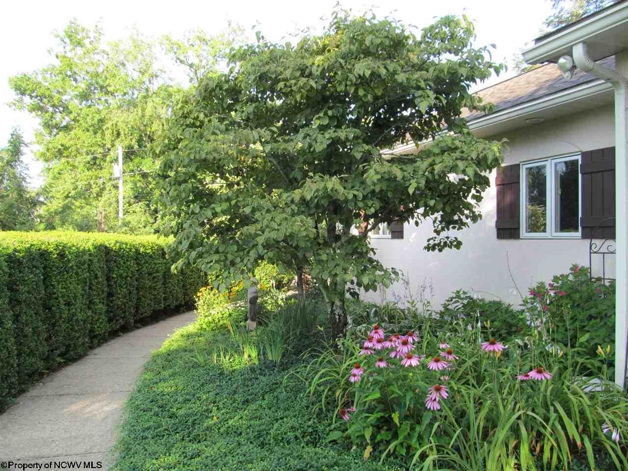 427 Co Rte 9/20 Buckhannon, WV 26201 - Photo 9 of 20 Gallery Image 9