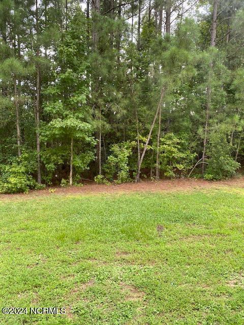 1719 Bridgewood Road Rocky Mount, NC 27804 - Photo 22 of 23 IMG_9348