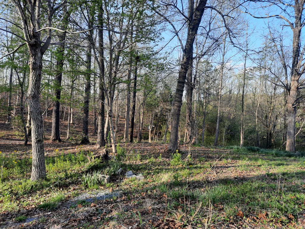 186 Banks Chapel Road Northeast Ranger, GA 30734 - Photo 10 of 31 Gallery Image 10