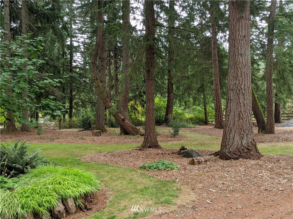 5428 133rd Avenue Southwest Rochester, WA 98579 - Photo 2 of 21 a view of a tree in the middle of a yard
